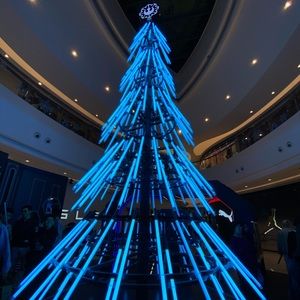 Meet your Posher, Carol